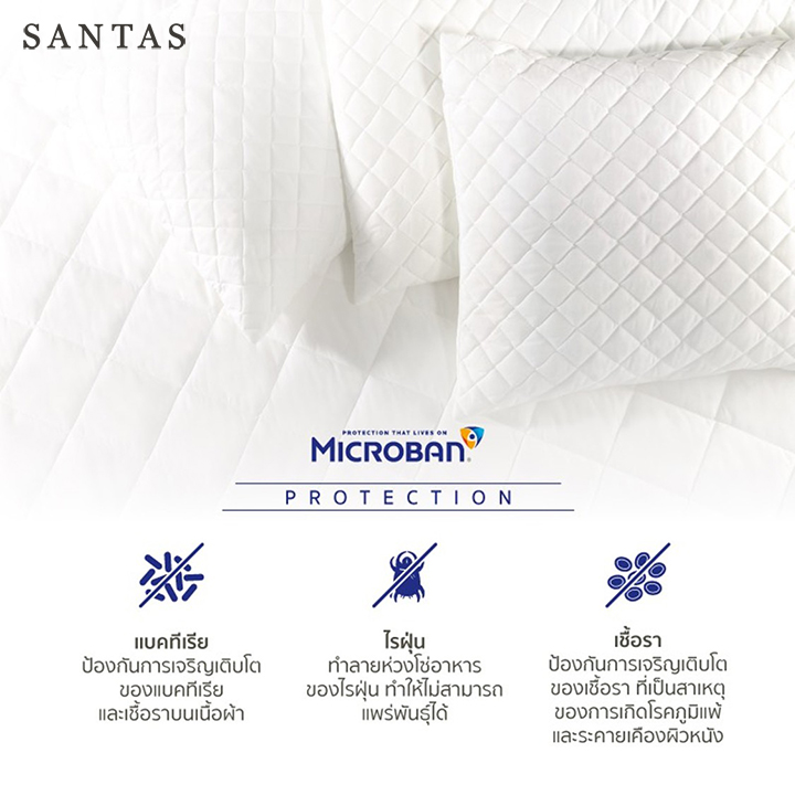 Pillow Protector Dacron Resilience