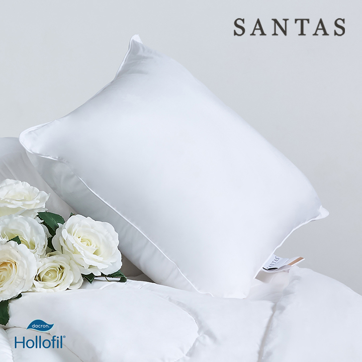 Cushion Pillow